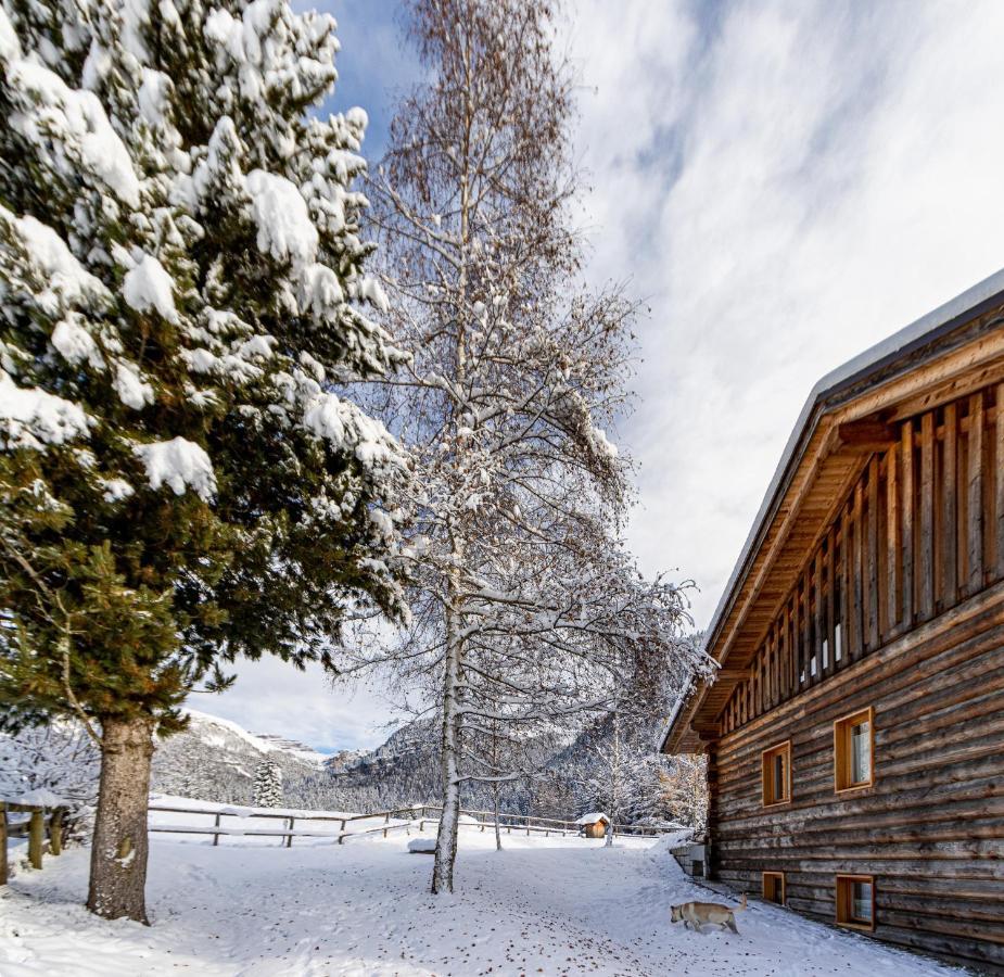 Appartamento Nido Del Brenta Madonna Esterno foto