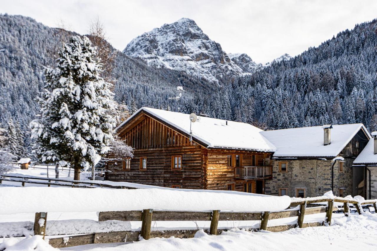 Appartamento Nido Del Brenta Madonna Esterno foto