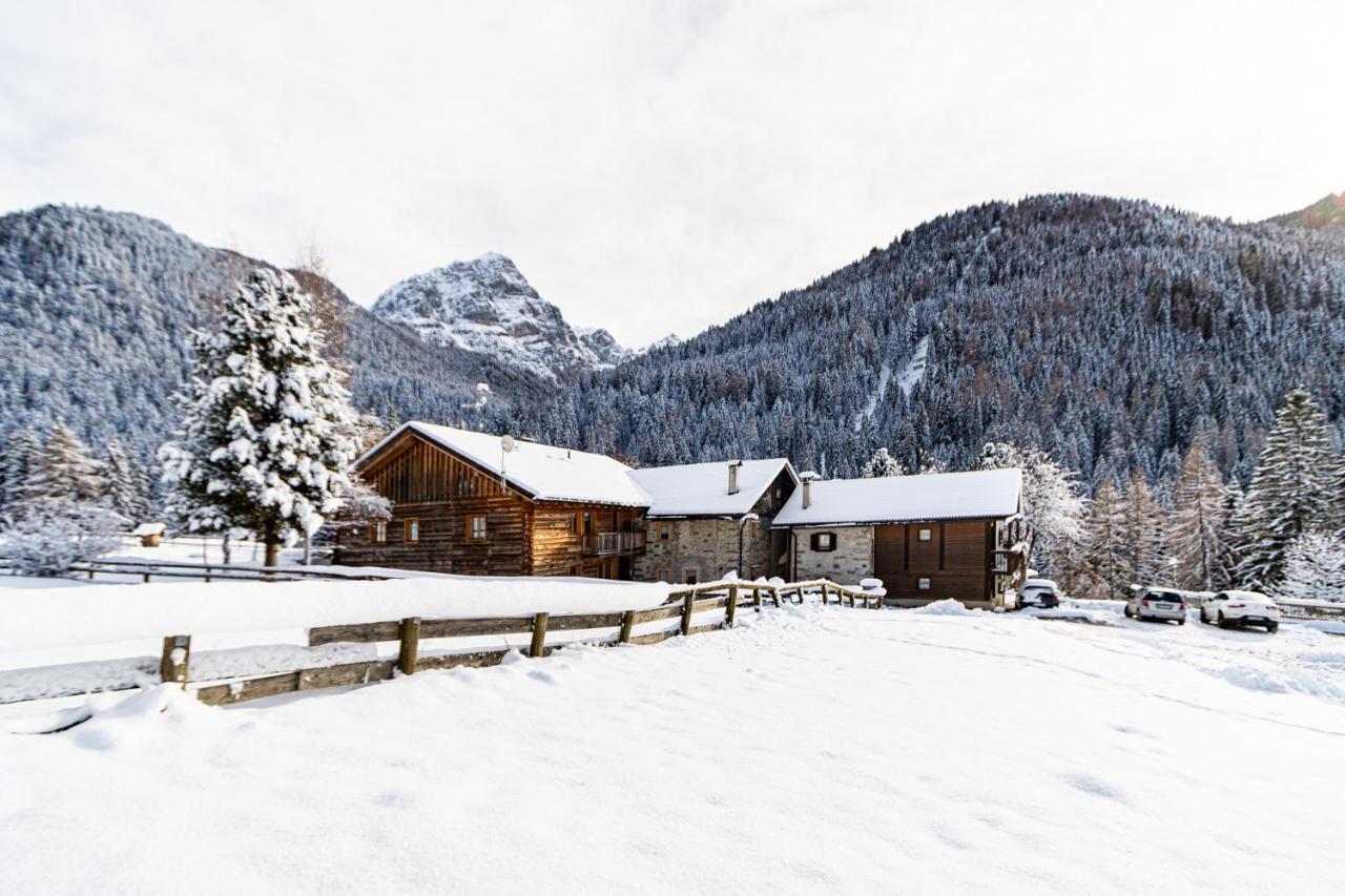 Appartamento Nido Del Brenta Madonna Esterno foto