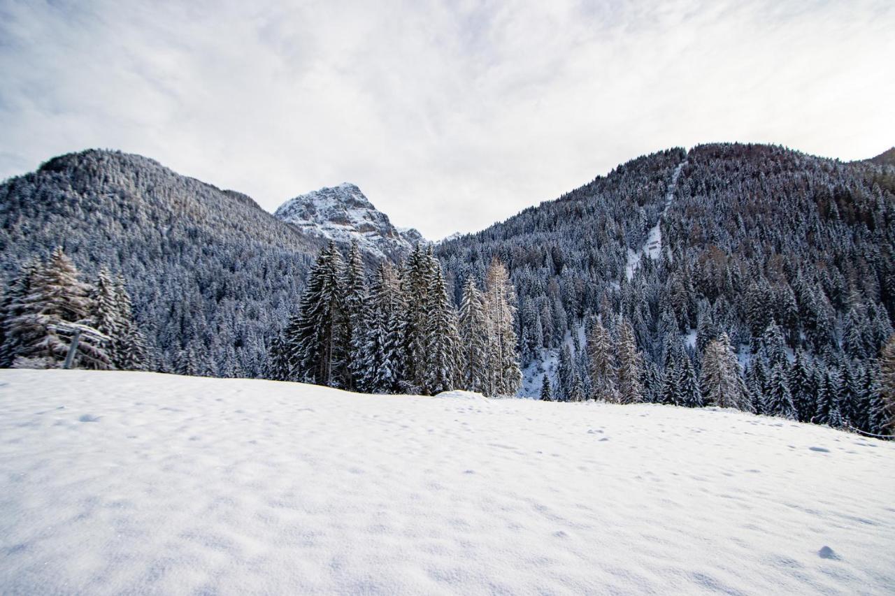 Appartamento Nido Del Brenta Madonna Esterno foto